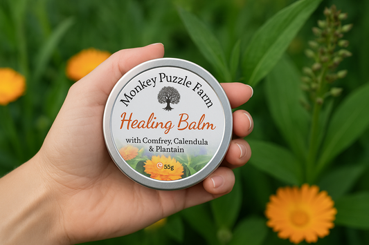 Healing Balm