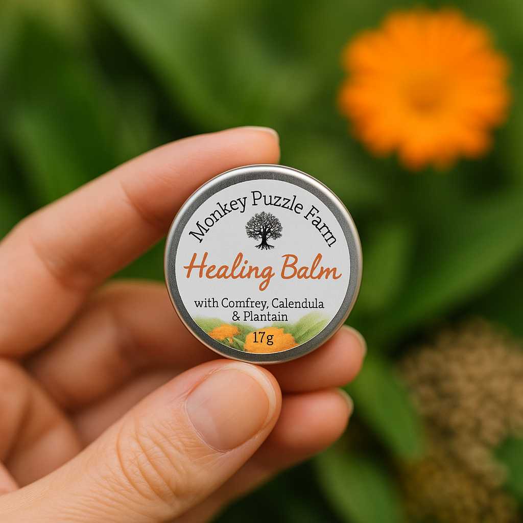 Healing Balm