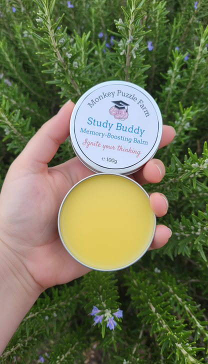 Study Buddy Memory Balm